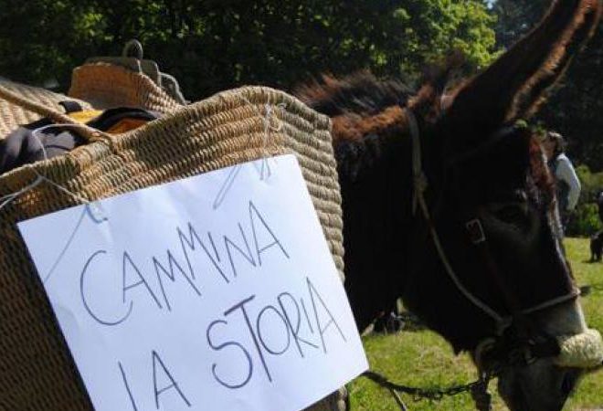 cammina la storia fra pievi e scavi etruschi