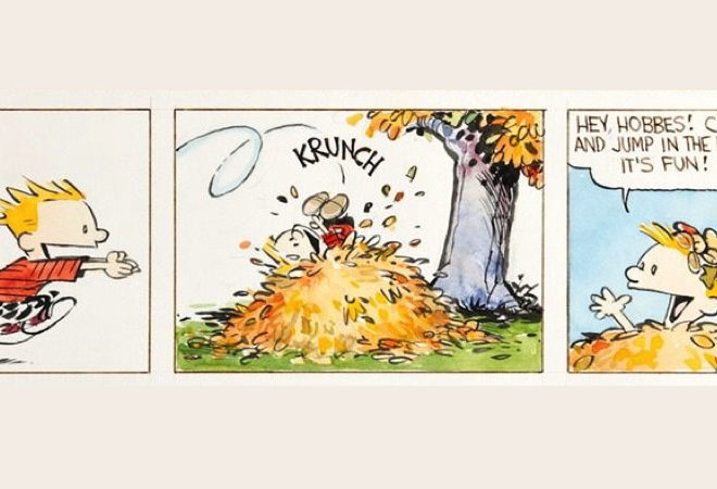 asilo nel bosco punto di vista pedagogista