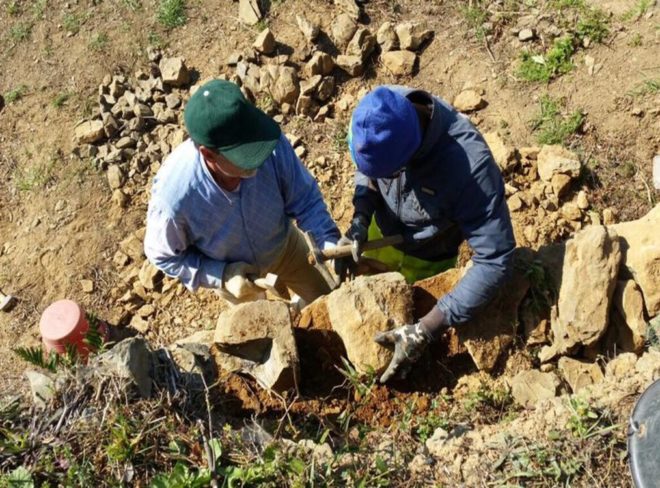 Fondazione Manarola Muretti a secco