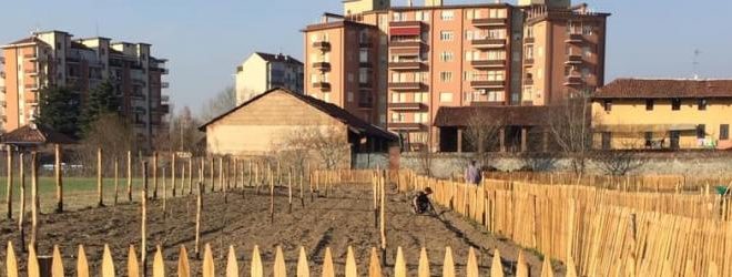 fondazione della comunita di mirafiori onlus