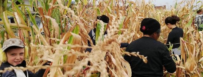 la milpa orto collettivo