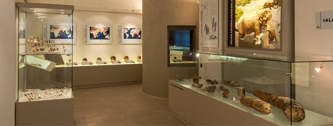 museo archeologico casentino