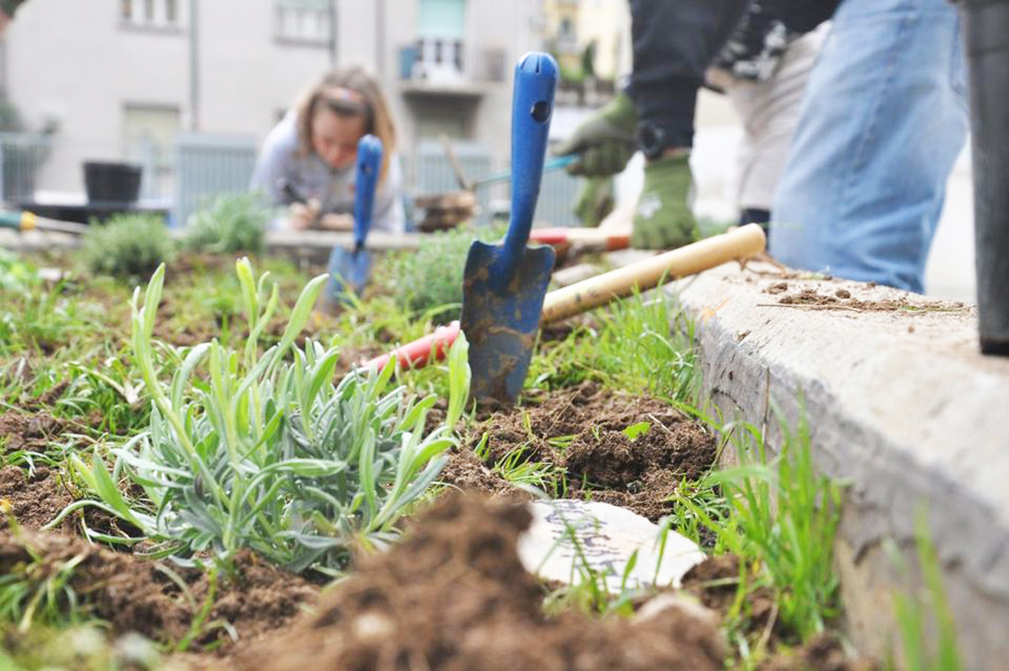 Stoviglie e imballi compostabili: la Città metropolitana di Torino invita a  non buttarli nell'organico