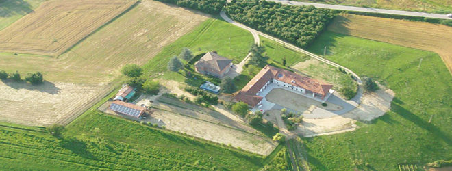 Fattoria del Risveglio9