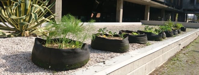 ga05cop2