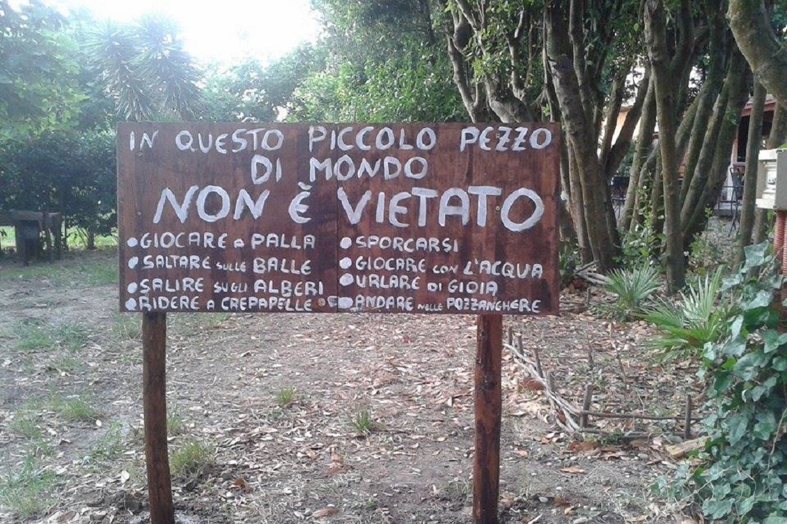 Asili Nel Bosco Una Foresta Di Relazioni Per Un Futuro Migliore