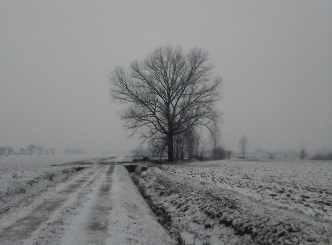 IMG 20211208 155457