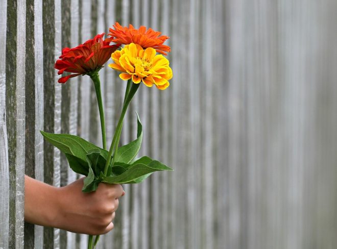 fiori sbarre cambiare idea