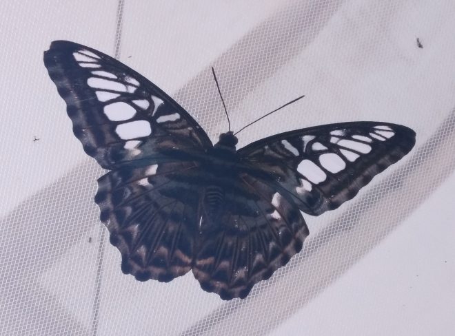 IMG 20201004 174716