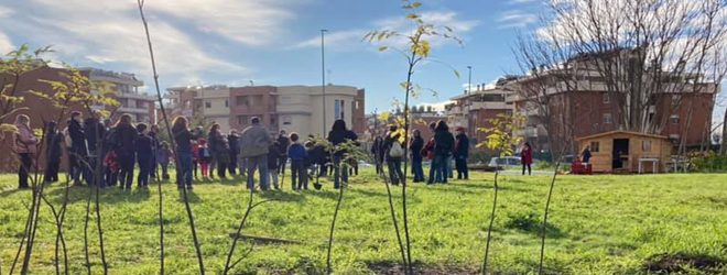 Alberi in Periferia