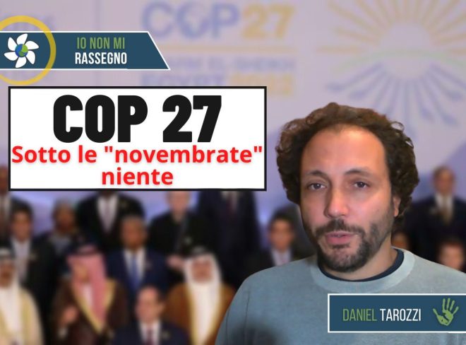 cop27
