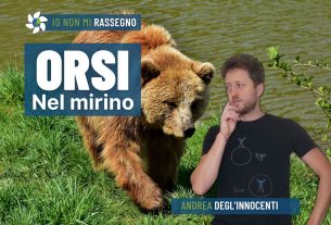 Il caso del runner ucciso dall’orso e i pezzi mancanti – #708