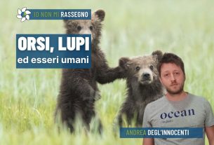 Dall’uccisione dell’orsa Amarena alla legge contro i lupi, che succede? – #786