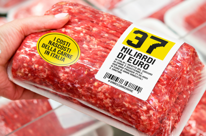 carissima carne cover