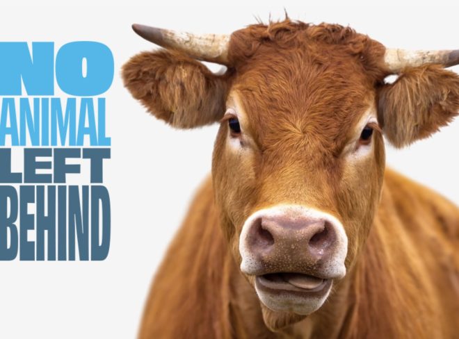 no animal left behind mucca