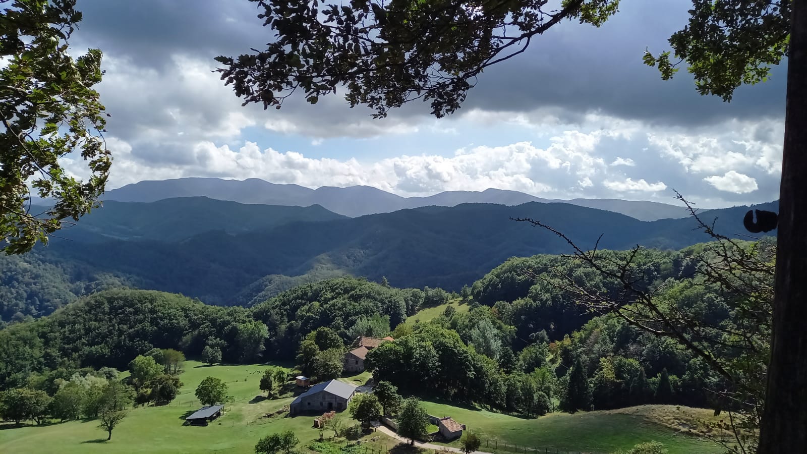 Giovane coppia cerca casa in campagna