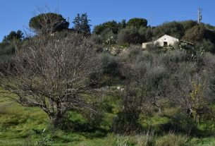 Cerco persone per progetto di coabitazione rurale in Sicilia