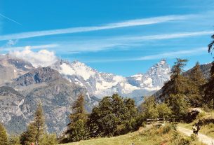 Cerco lavoro in rifugio/agriturismo con animali