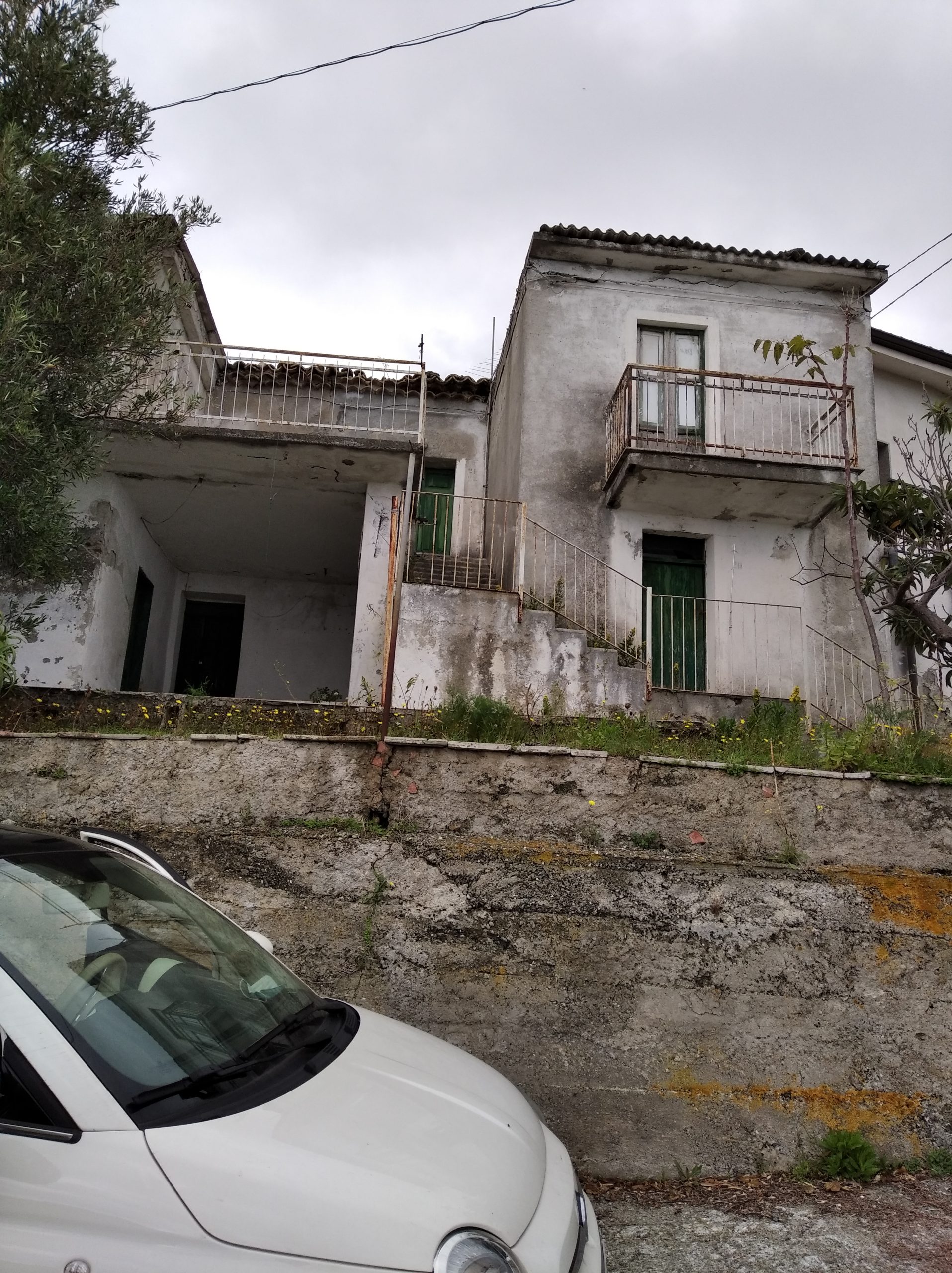 Vendo rustico in Calabria (e precisamente Longobardi): mare, campagna e montagna