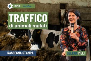 Zoomafia, animali infetti macellati e salute pubblica – INMR Sicilia #4