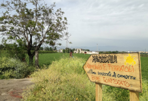 La Masseria Ferraioli: lottare contro le mafie generando verde e bellezza