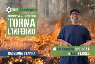 Il punto sull’energia e poi crescita delle imprese, siccità e incendi – INMR Sardegna #40