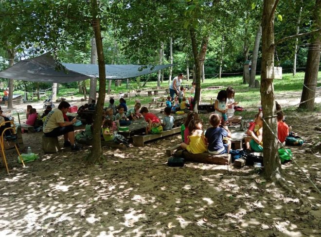 Forest School Pianfei: un “asilo nel bosco” aperto al mondo