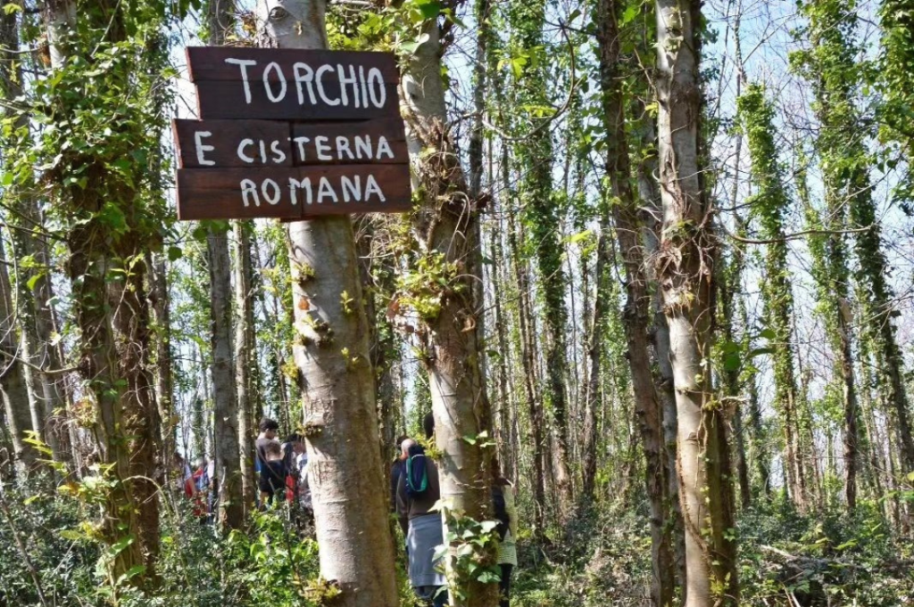 Bosco della Salandra 