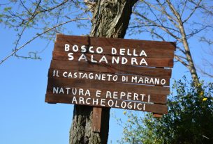 Bosco della Salandra: storia di un luogo abbandonato diventato culla di natura e cultura