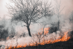 Il fuoco sardo tra paura estiva e coscienza moderna