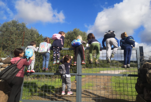 L’asilo Tana del Bosco: educazione all’aperto per crescere a contatto con il territorio e la comunità