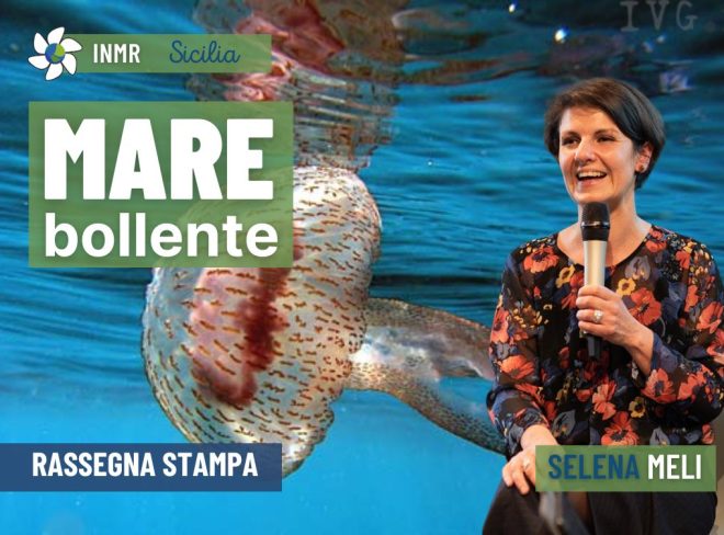 Mare bollente, cartoni al posto di ingessature e c’è chi sogna di venire a vivere in Sicilia  – INMR Sicilia #5