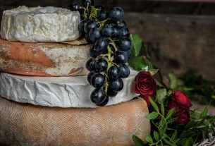 Formaggi vegetali fatti in casa: ecco il kit Prodor con fermenti, muffe e batteri per autoprodurli