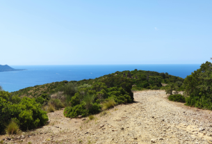 Esplorando Trentova Tresino: l’oasi segreta del Cilento dove la natura incontra la storia