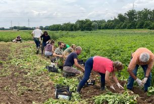 CiòCheMangio: il cibo sano e locale diventa un ponte fra campagna e città