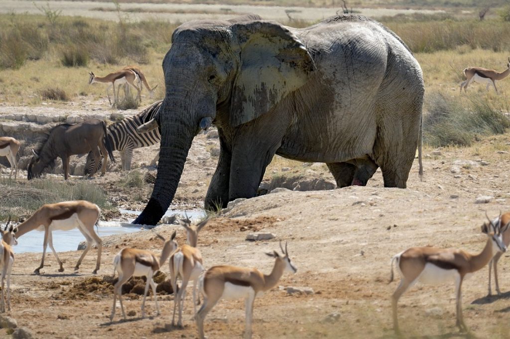 namibia