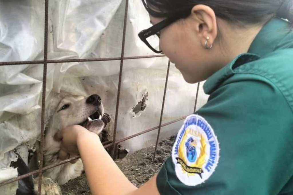 guardia ecozoofila