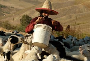 Kore Siciliae, a Enna aziende dell’agroalimentare si raccontano per lo sviluppo del territorio 