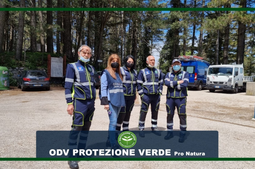 protezione verde 1