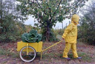 Terrestra, il progetto agricolo romagnolo, antispecista ed ecofemminista