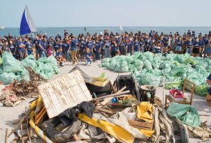 Plastic Free Onlus: basta plastica, per un pianeta più pulito