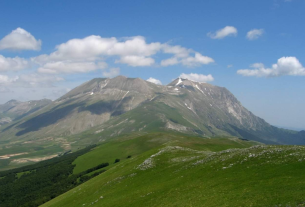 Cilento equo e sostenibile: W il lupo! combatte abusivismo, spopolamento e crisi climatica