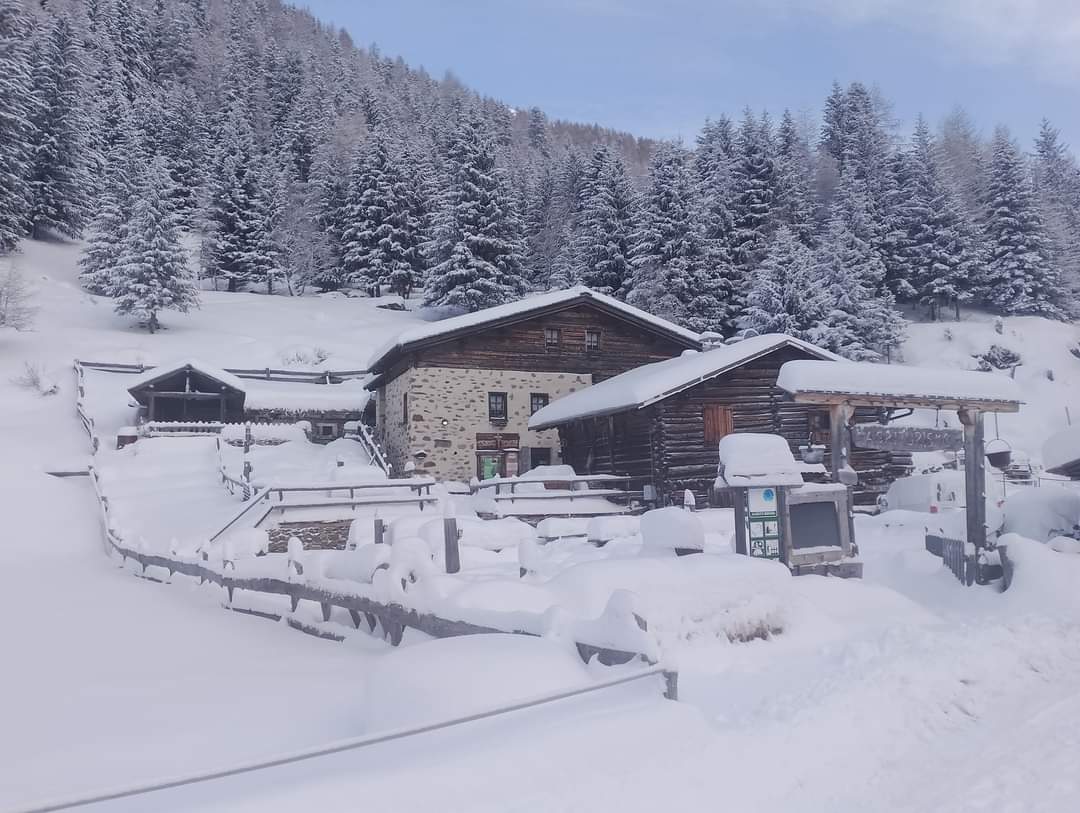 Cerco cascina in affitto o eventuale affitto con riscatto