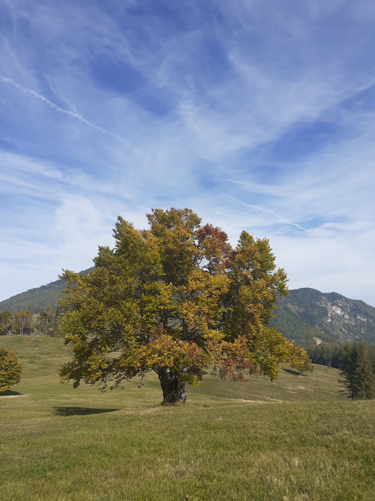 Cerco luogo immerso nella natura