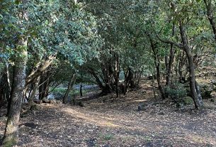 Matre Terra, sull’Etna un sentiero di land art al posto delle discariche