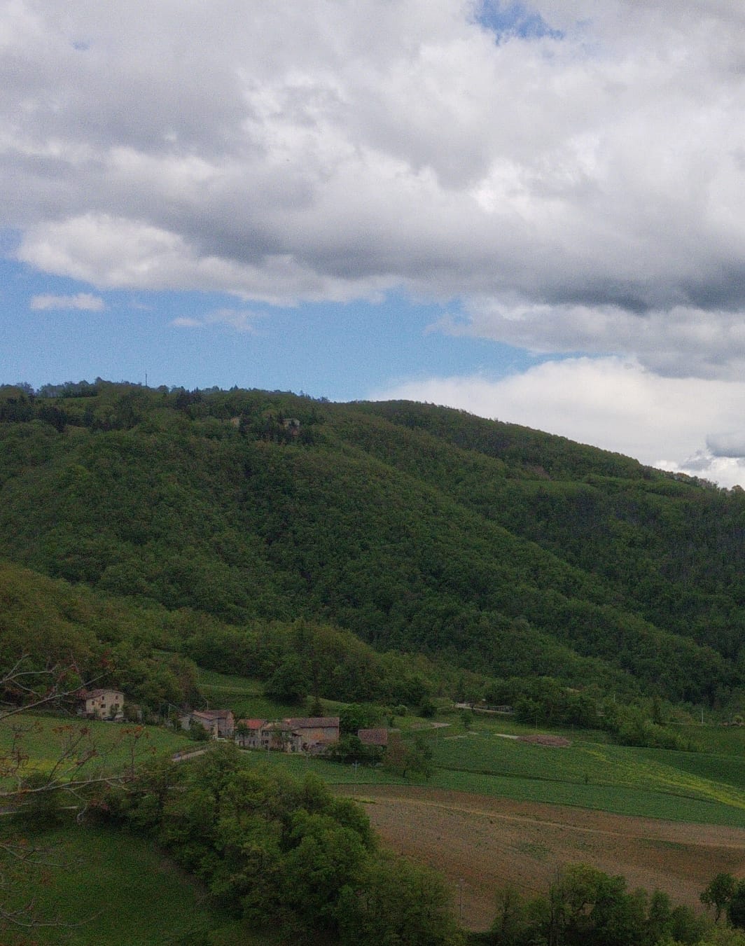 Offro nuovo Cohousing sulle colline Bolognesi