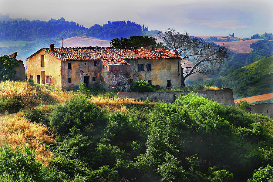 Cerco Sei interessata/o a co-fondare un ecovillaggio?