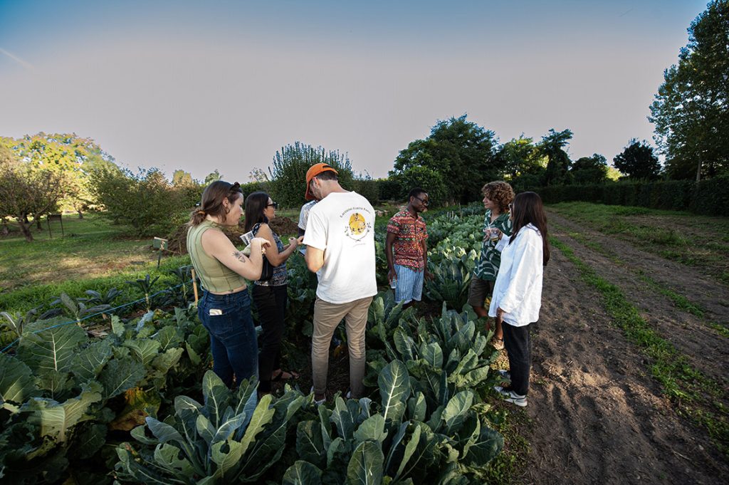 Local Food Policy, un master per rispondere alle sfide globali a partire dal cibo