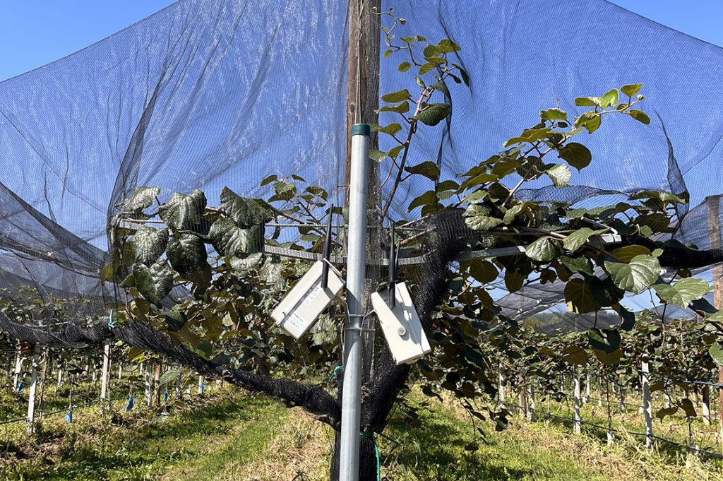 agricoltura di precisione