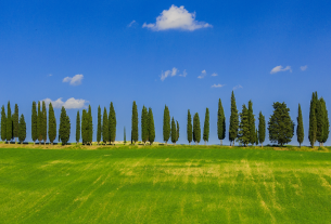 Servono spazi “laici” per parlare al tempo stesso di transizione energetica e tutela del territorio